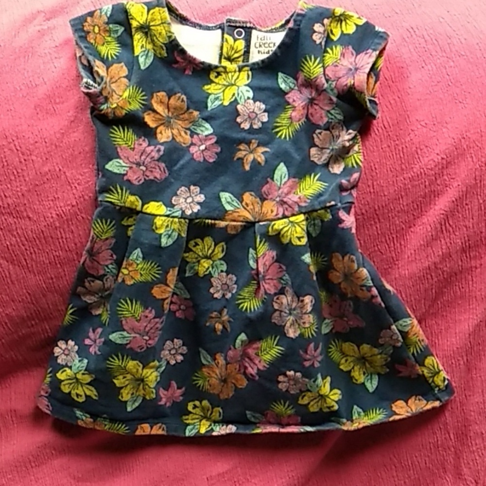 Falls Creek 24 month floral dress